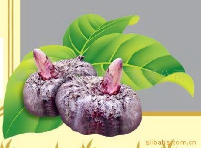 魔芋葡甘露聚糖 Konjac Glucomannan