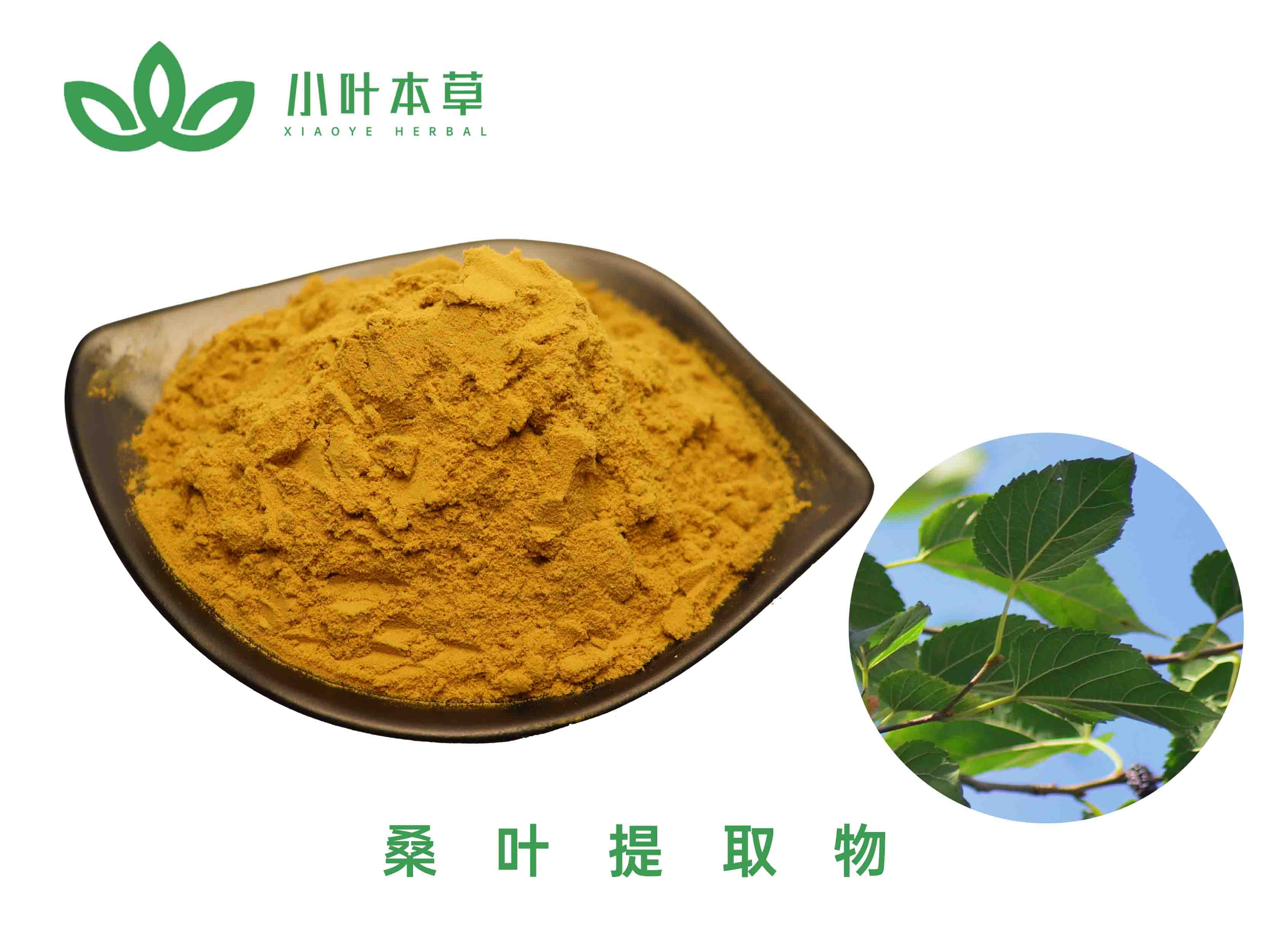 桑叶提取物-1%~2% DNJ; 20% 总黄酮