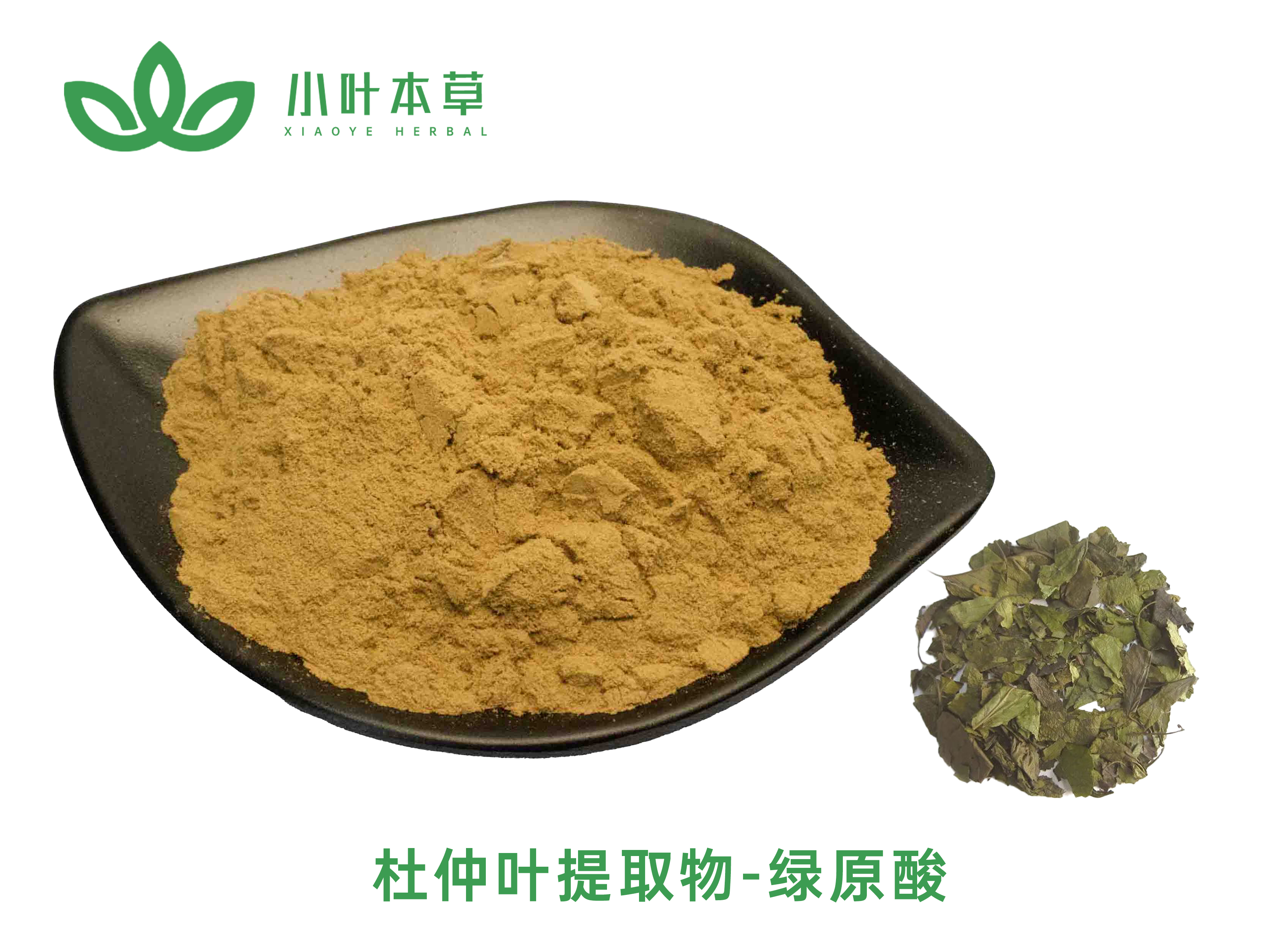 杜仲提取物 绿原酸5% 25% 50% 98% 杜仲花多糖